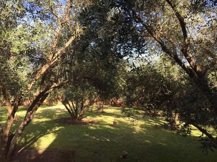 Riad Sidi Hicham Ouled Bouzid Exterior foto
